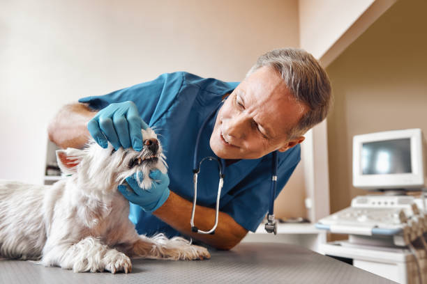 Best Emergency Root Canal Treatment in Newburgh, IN