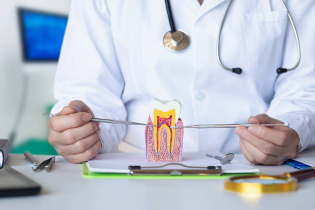 Best Cosmetic Emergency Dentistry in Newburgh, IN
